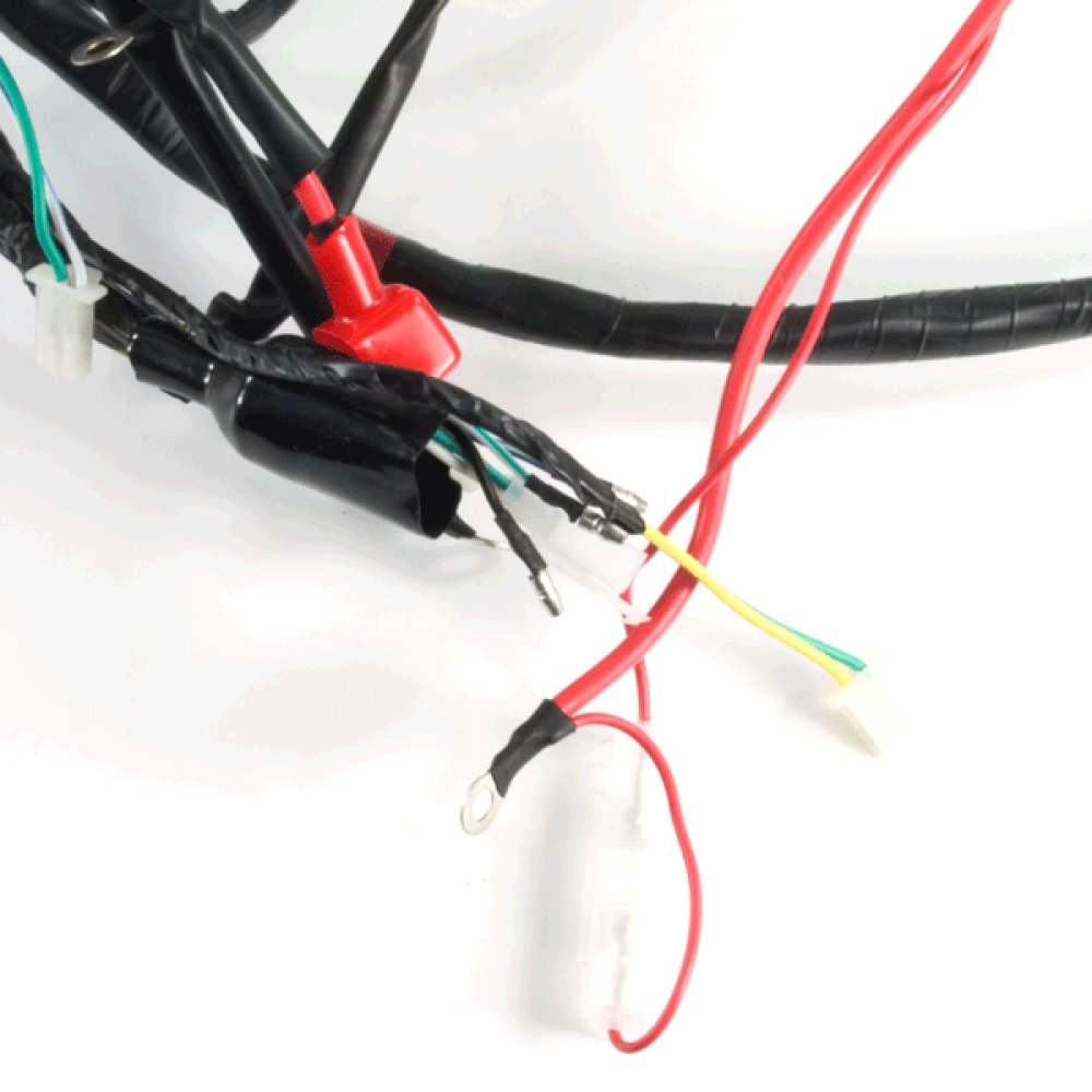 Wiring Loom 2