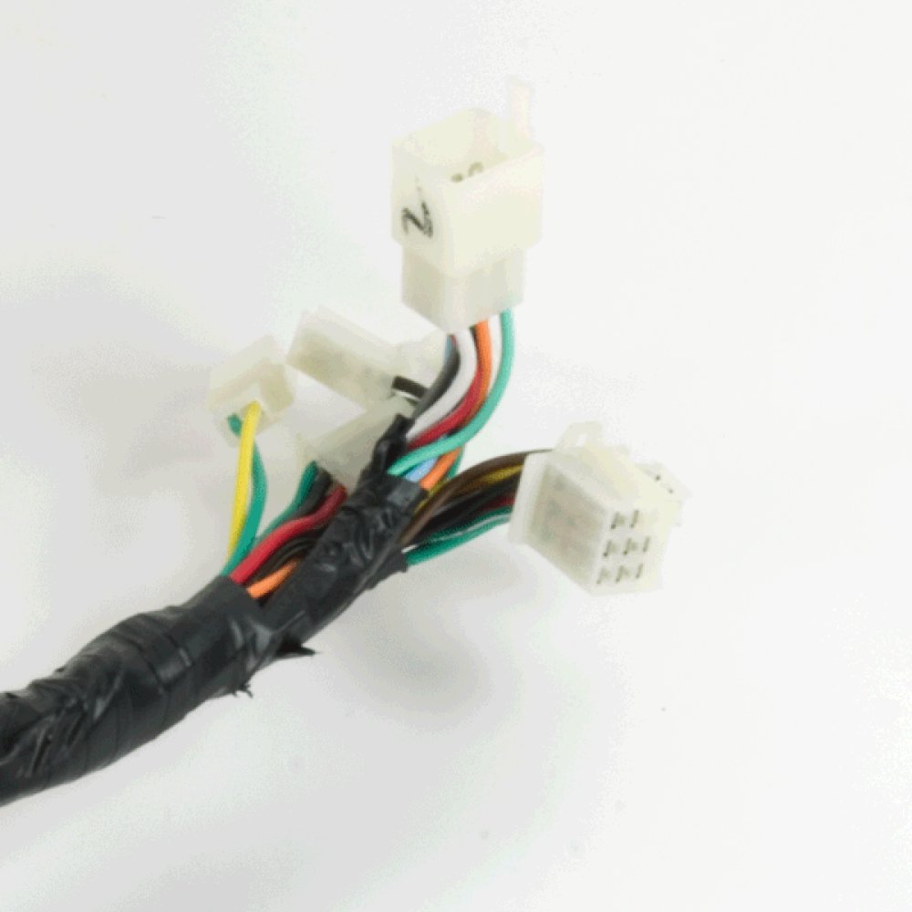 Wiring Loom 4