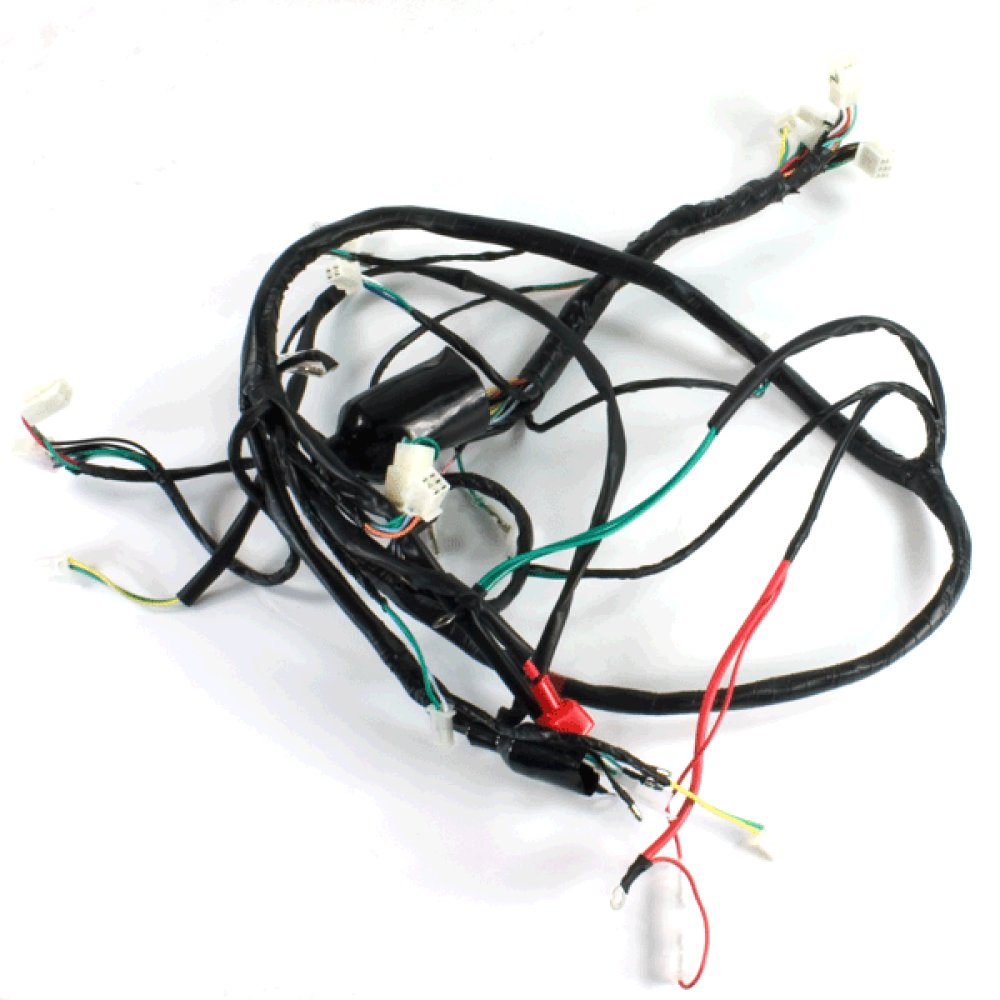 Wiring Loom