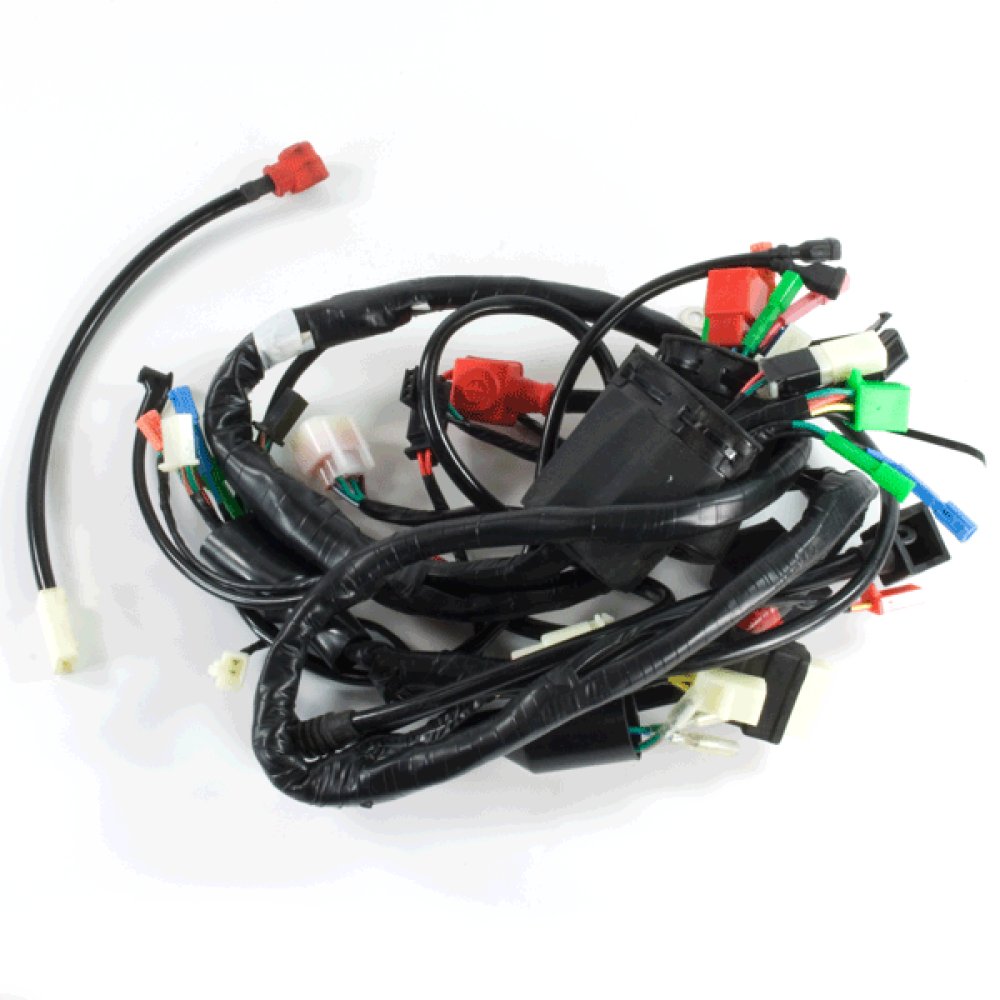 Wiring Loom