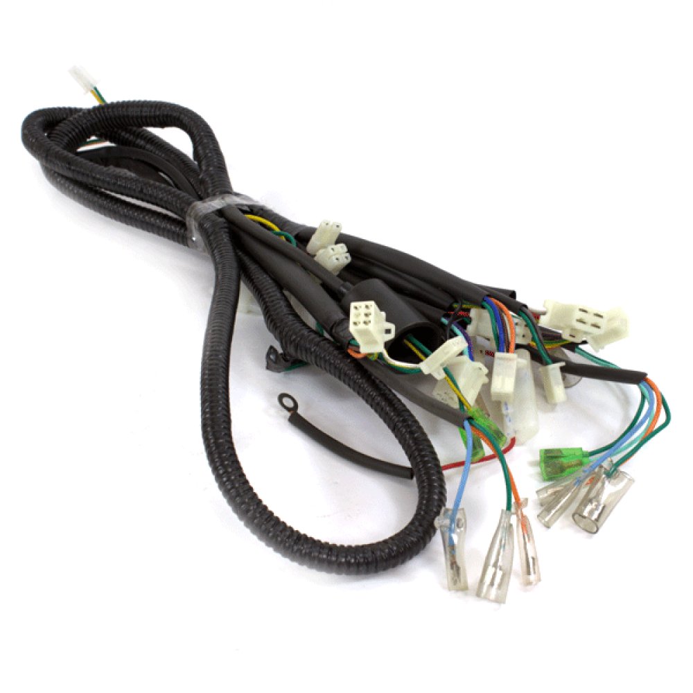Wiring Loom 2