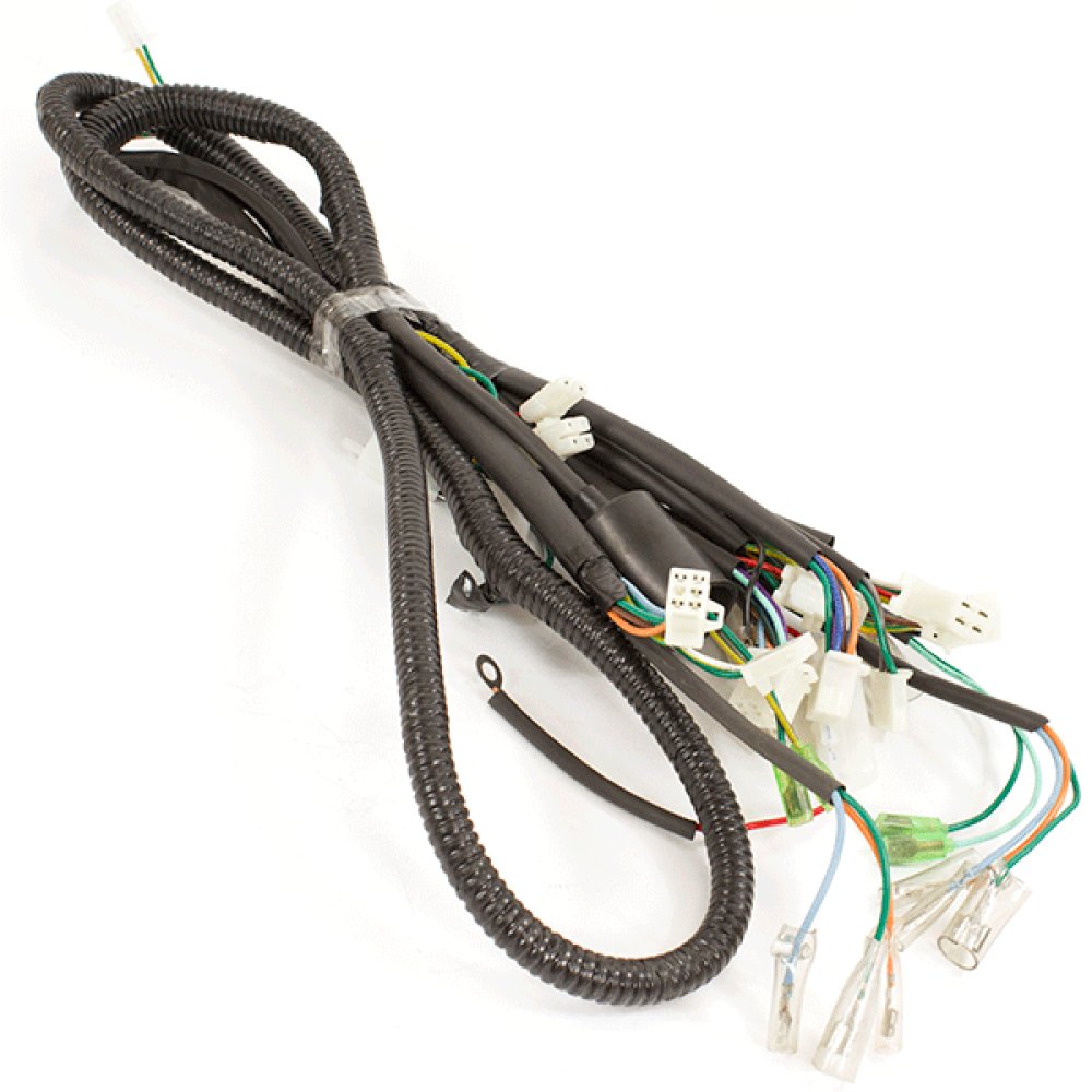 Wiring Loom