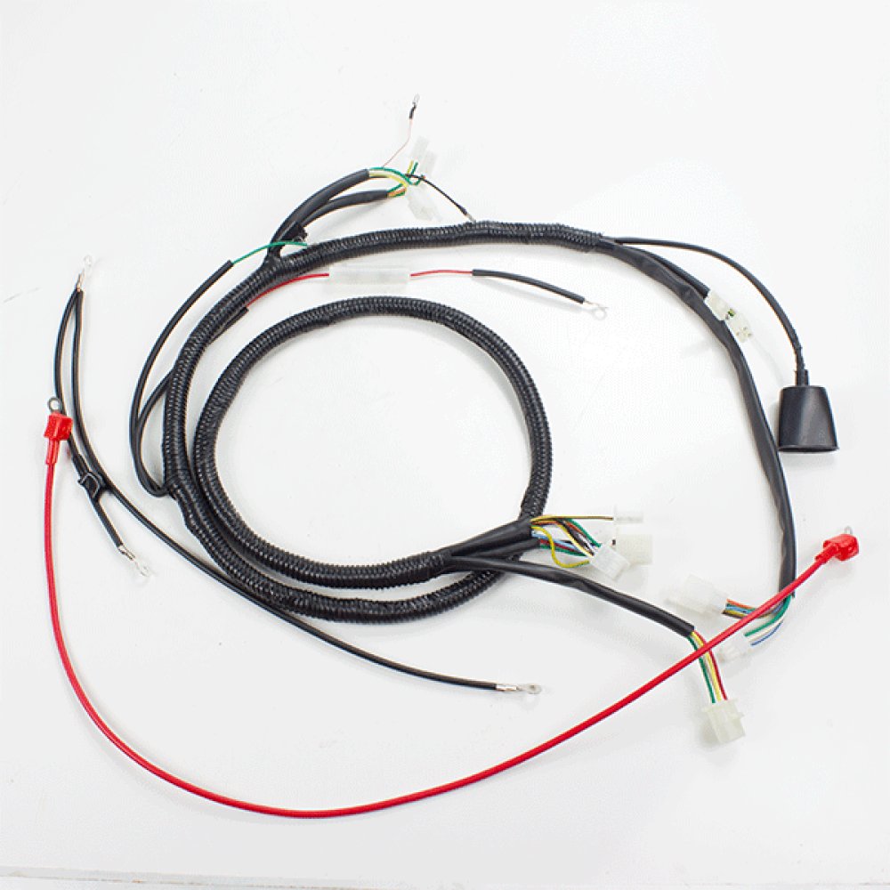 Wiring Loom
