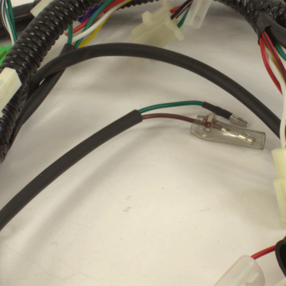Wiring Loom (Non DRL) 5