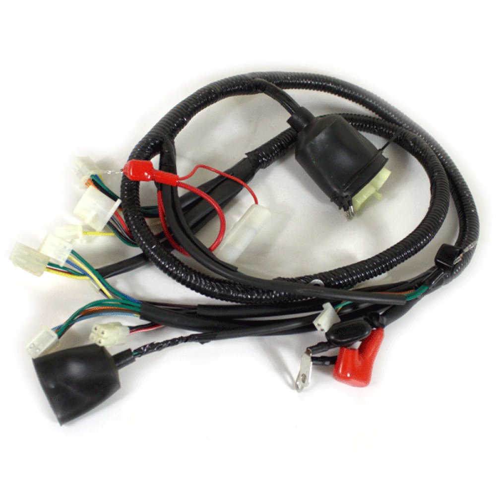 Wiring Loom