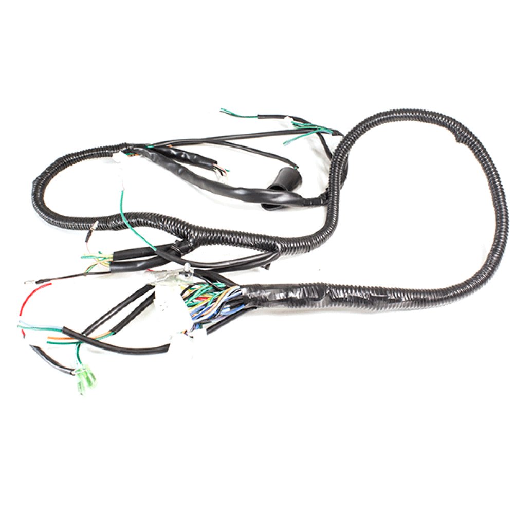 Wiring Loom