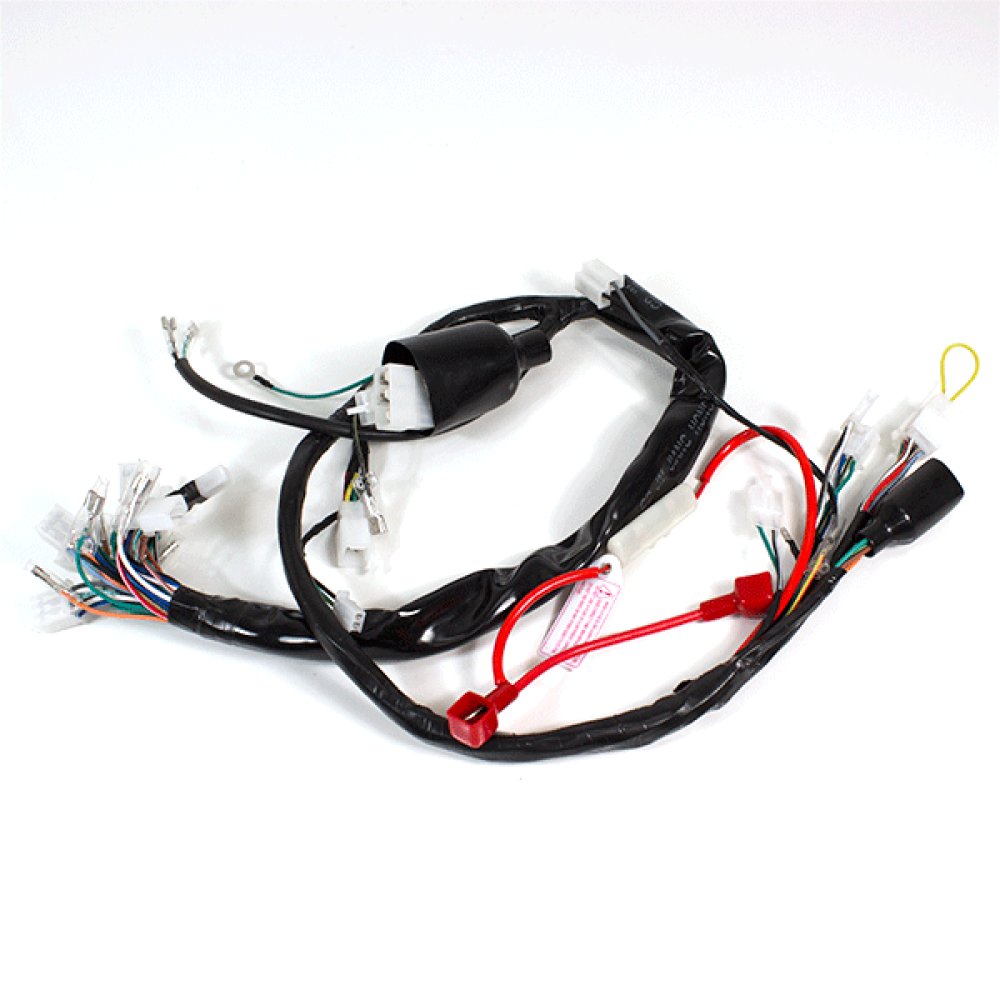 Wiring Loom