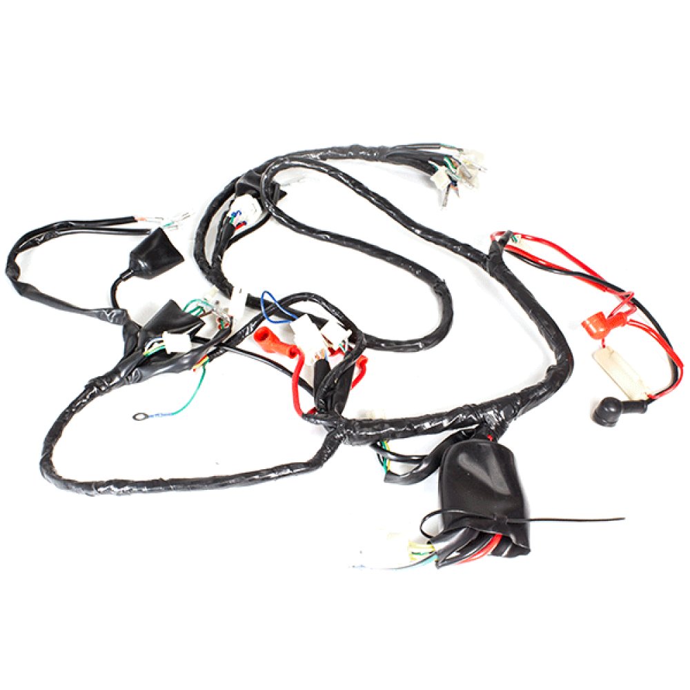 Wiring Loom