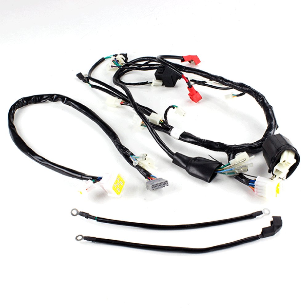 Wiring Loom 2
