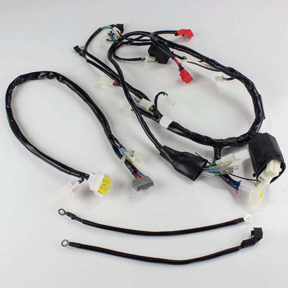 Wiring Loom