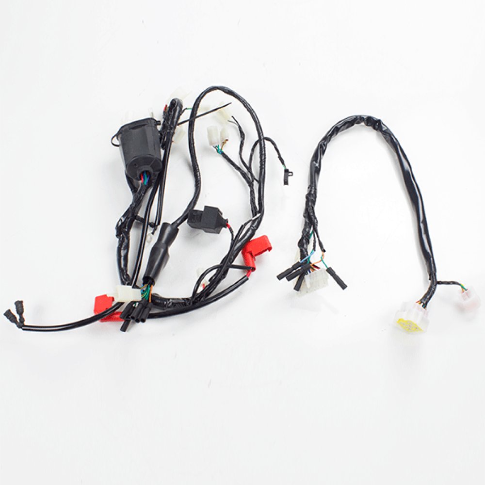 Wiring Loom