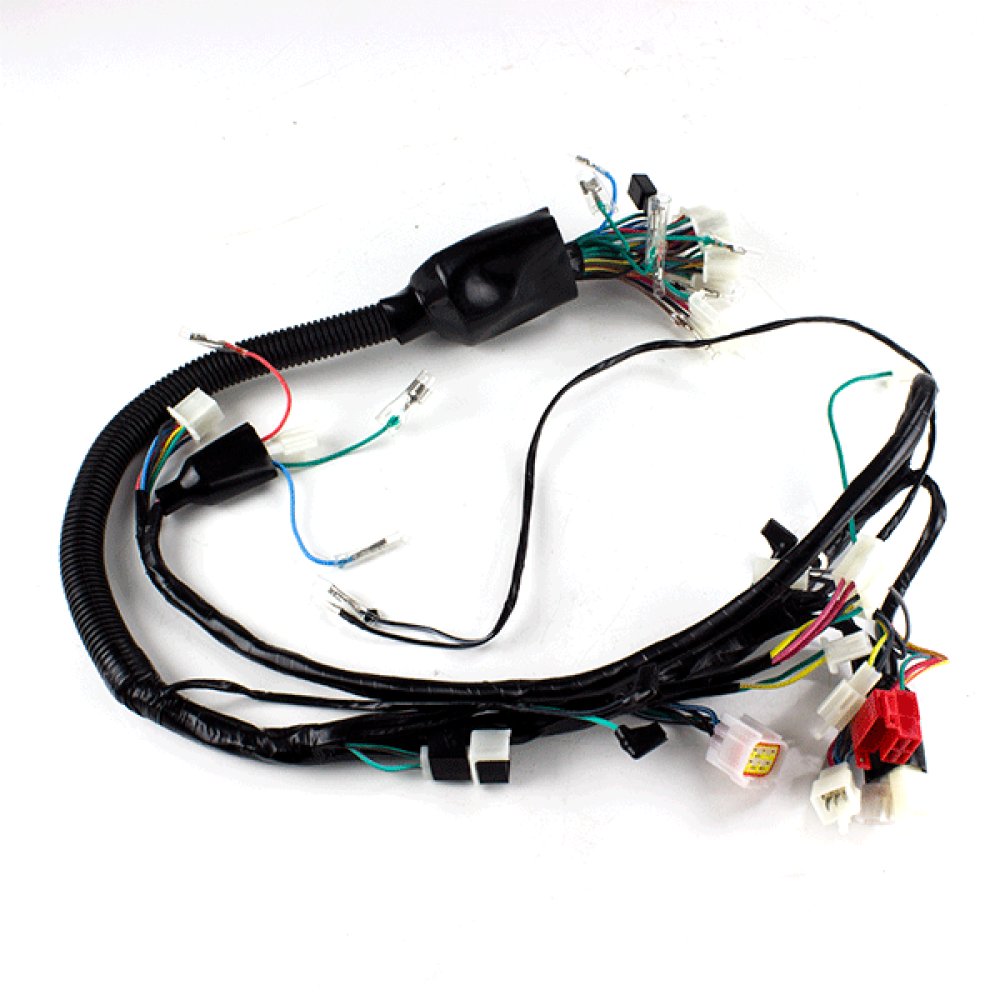 Wiring Loom 2