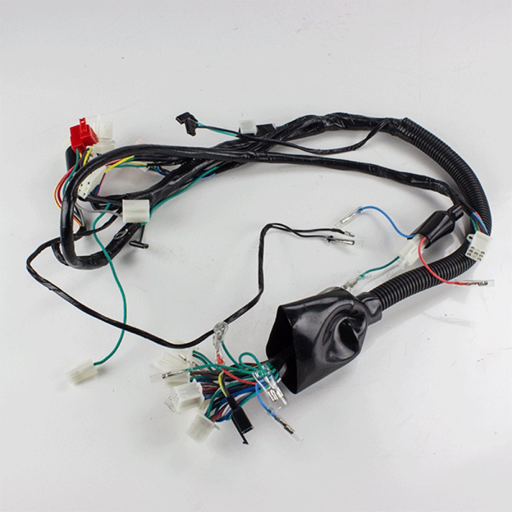 Wiring Loom