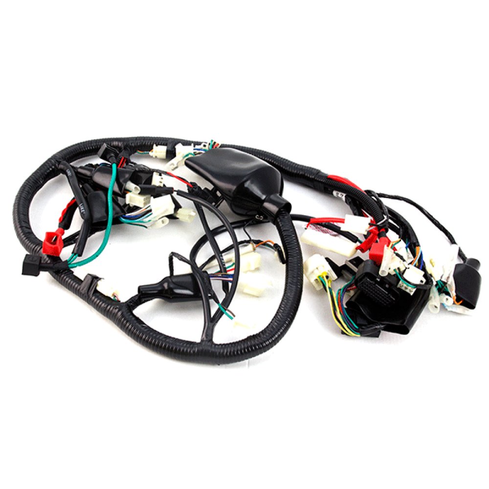 Wiring Loom