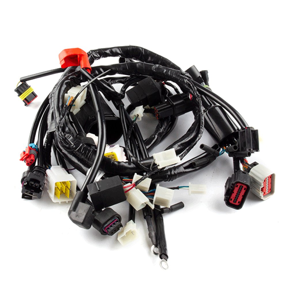 Wiring Loom 2