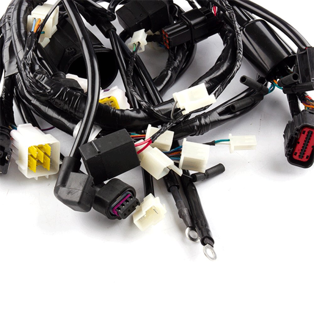Wiring Loom 3
