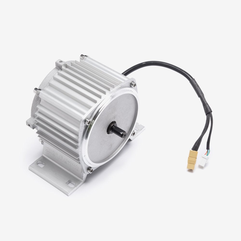 Motor 48V 600W WP