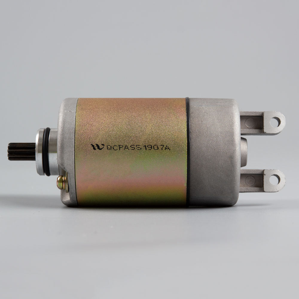 Starter Motor 3