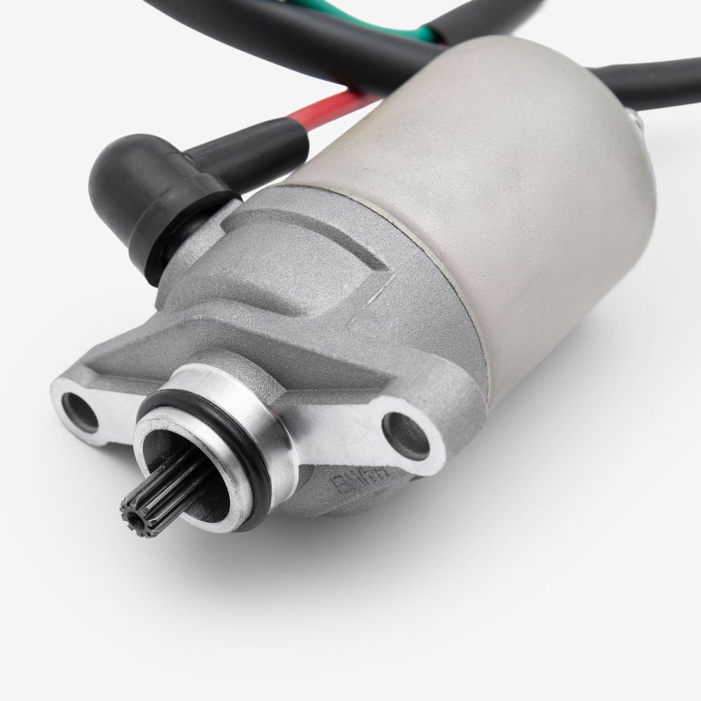 Starter Motor 5