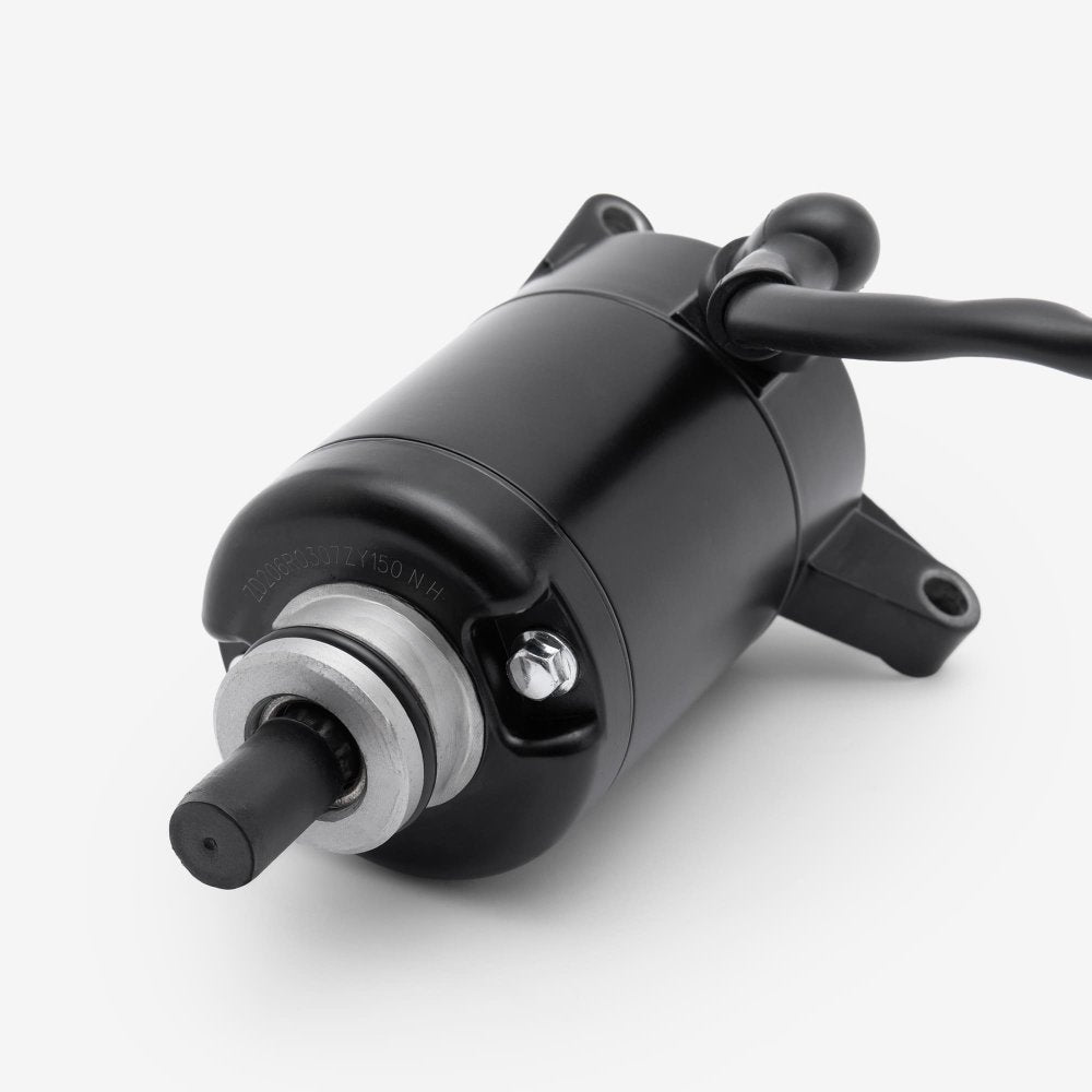 Starter Motor 6