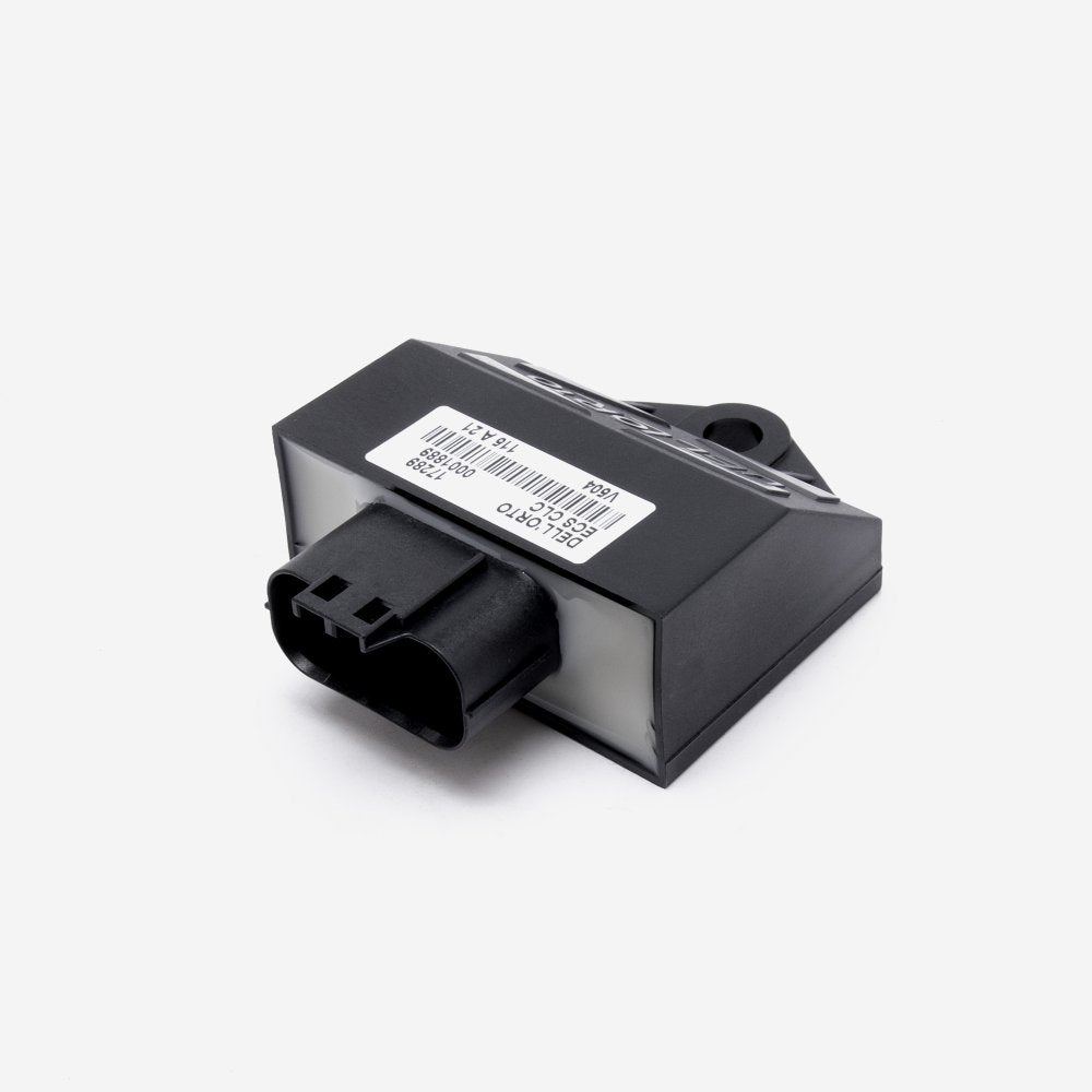 Paired ECU & Dellorto Electronic Carburettor kit 4