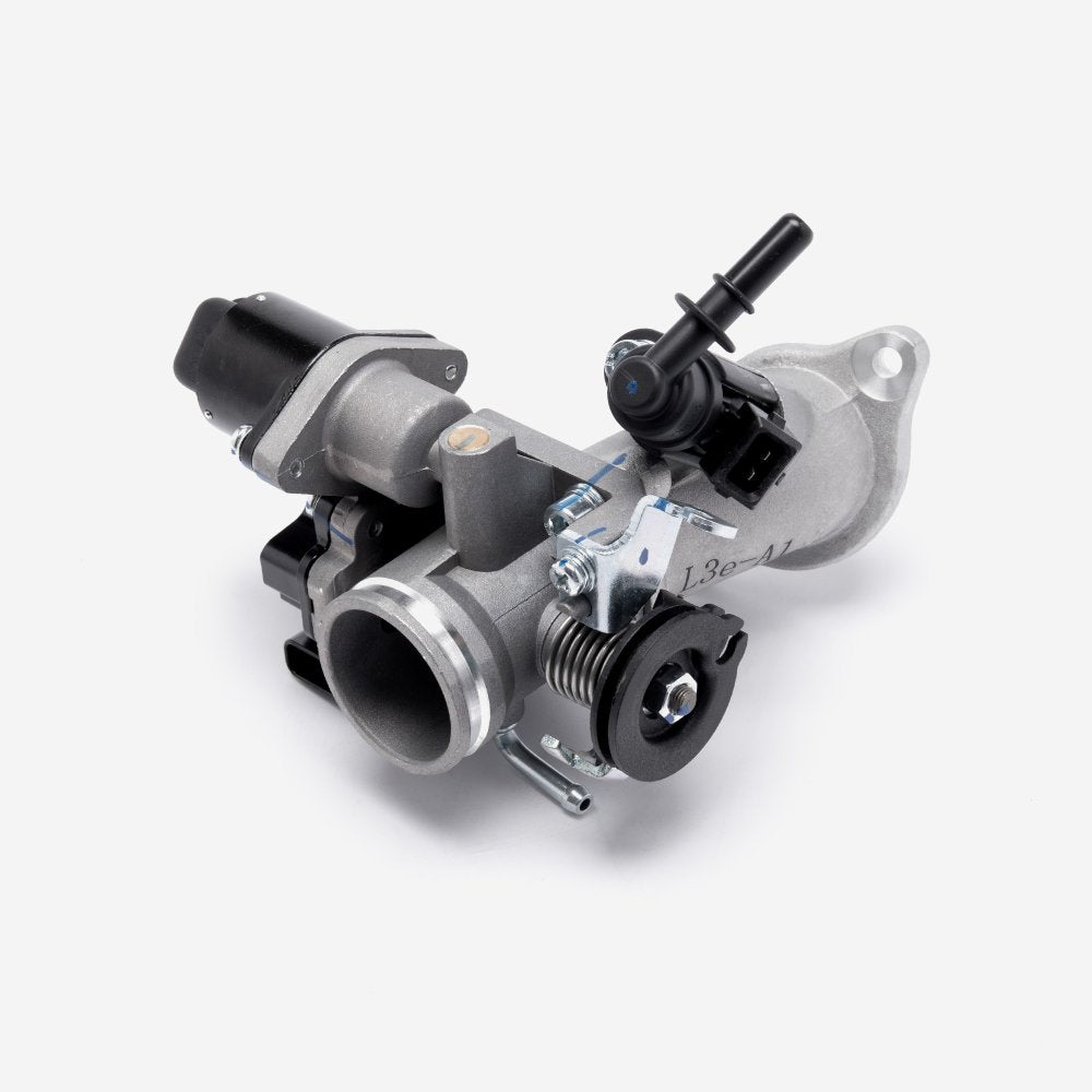 Throttle Body complete set