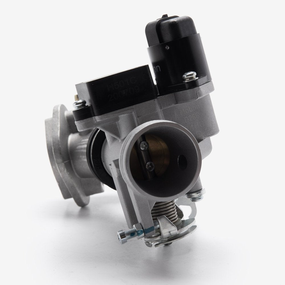 Throttle Body And Inlet Manifold 2