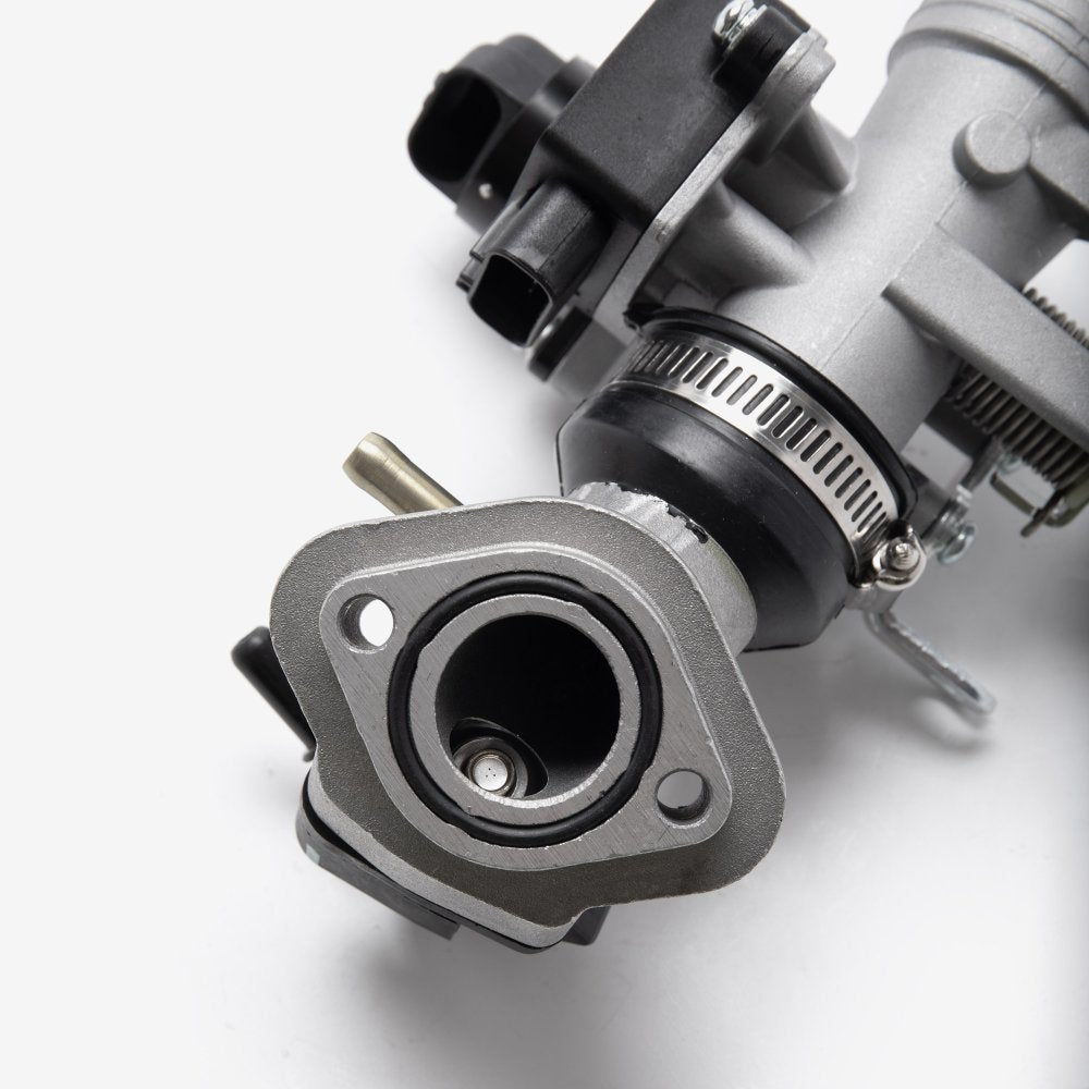 Throttle Body And Inlet Manifold 3