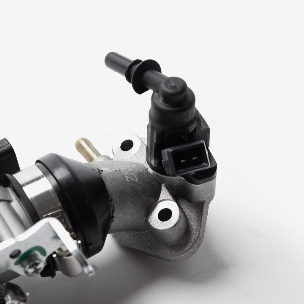 Throttle Body And Inlet Manifold 5