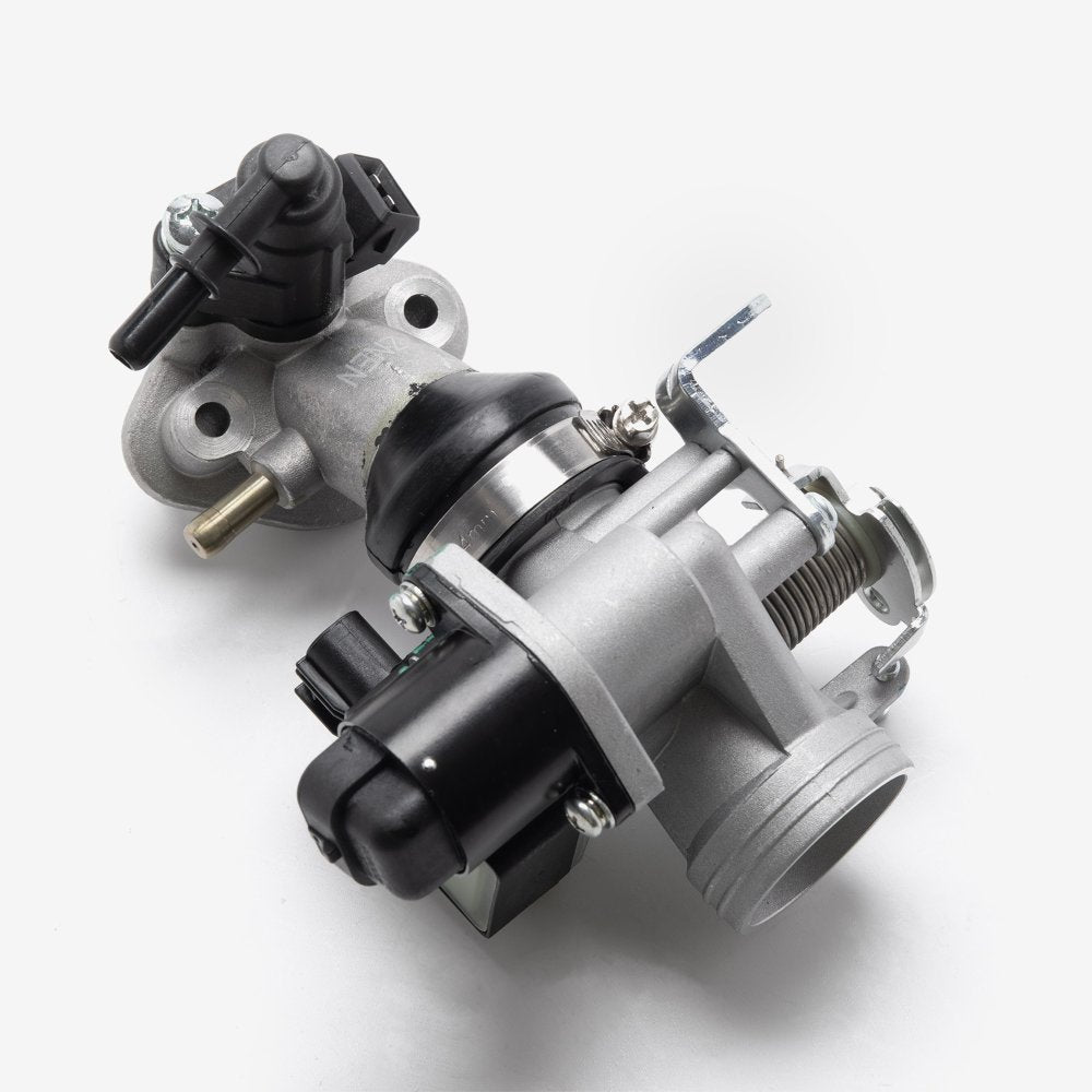Throttle Body And Inlet Manifold