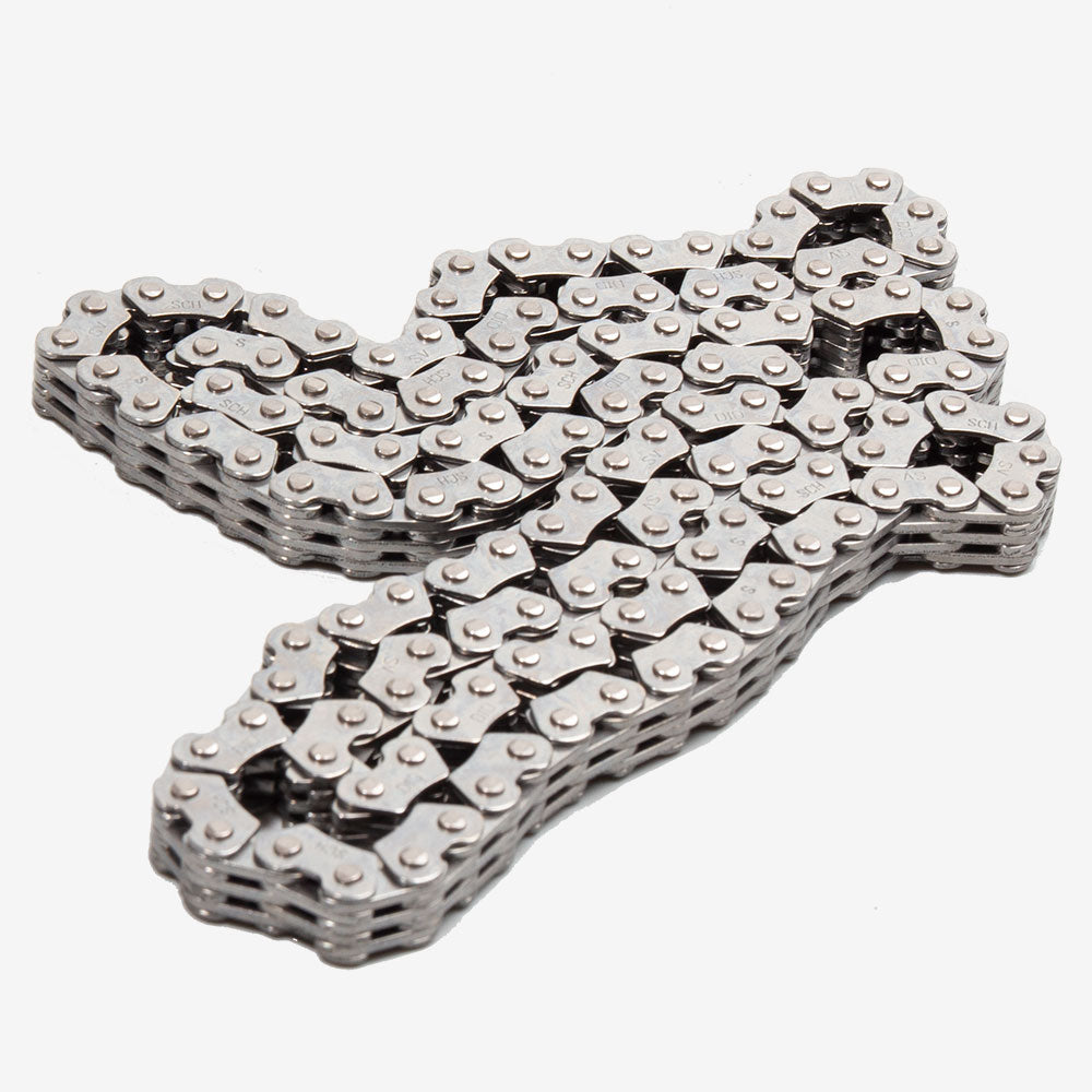 Timing/Cam Chain