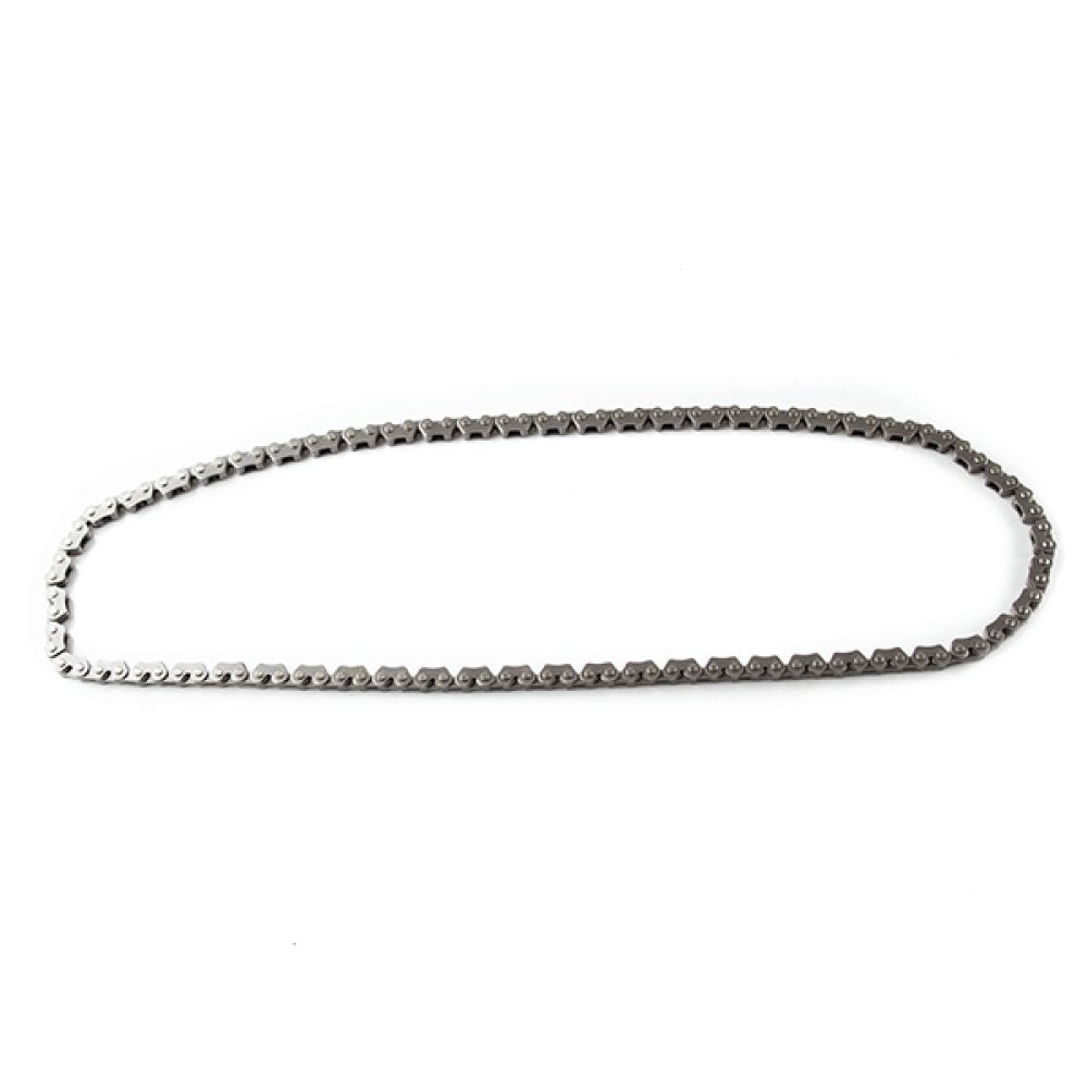 Timing (Cam) Chain