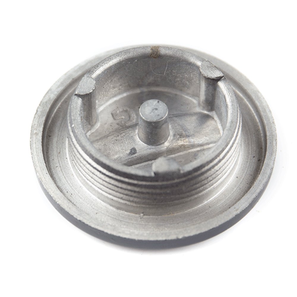 Large Crankcase Cover Plug 2