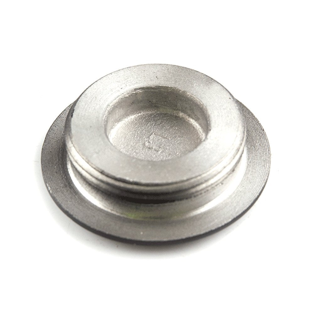 Large Crankcase Cover Plug 2