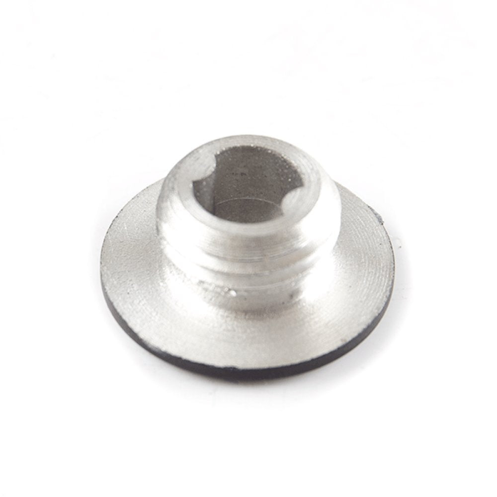 Small Crankcase Cover Plug 2