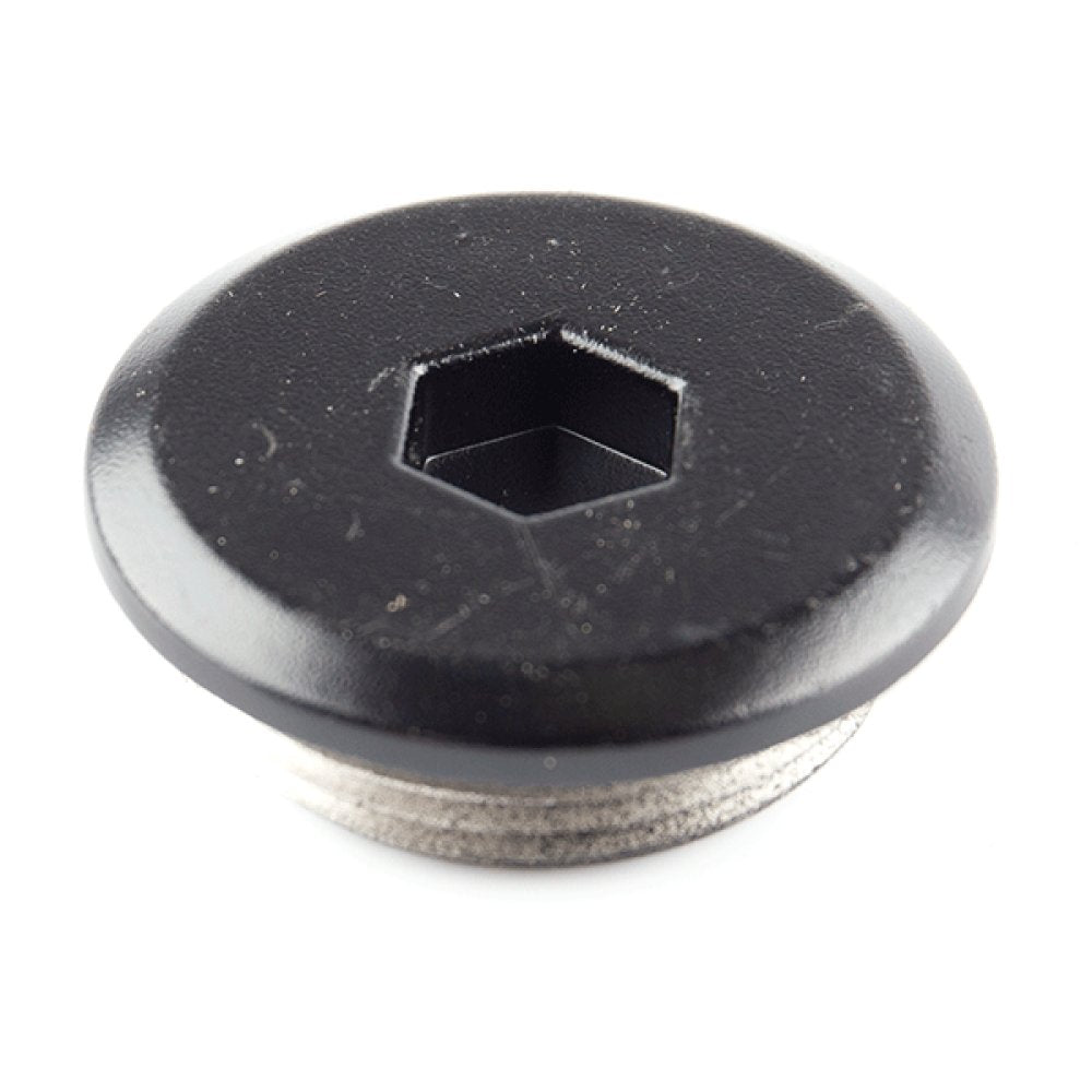 Crankcase Cover Plug