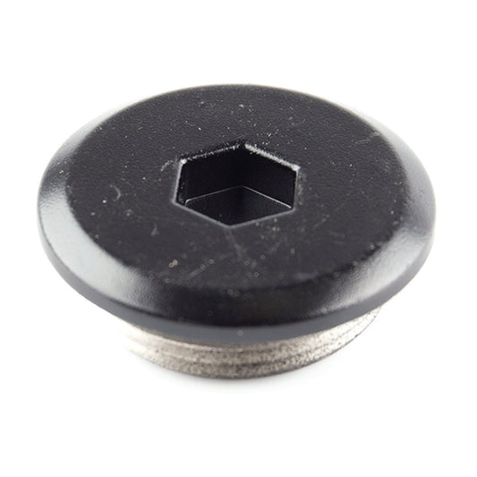 Crankcase Cover Plug