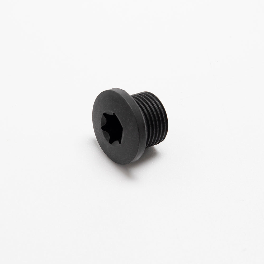 Engine Timing Check Plug