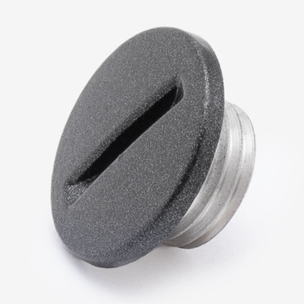 Engine Timing Check Plug 2
