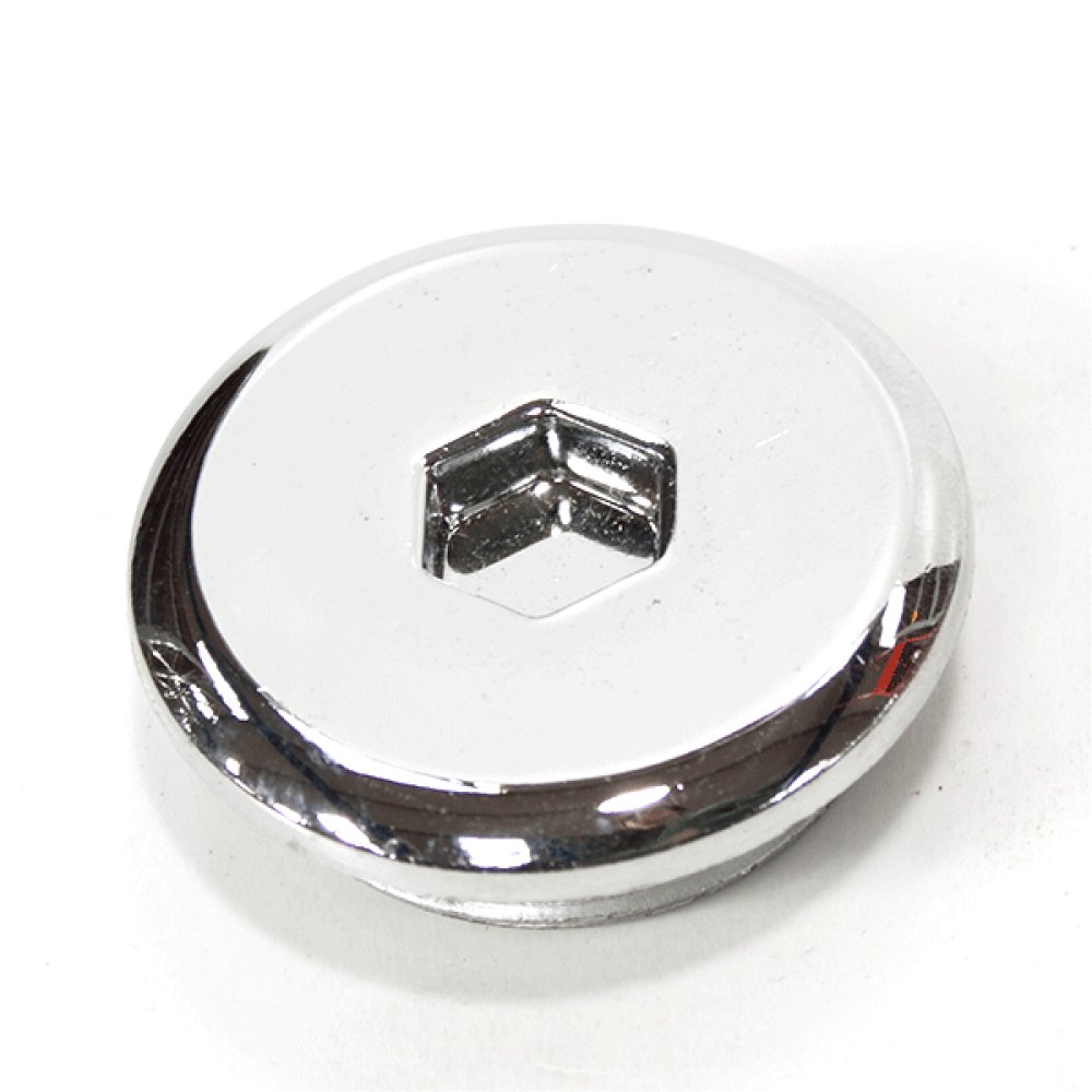 Crankcase Cover Plug