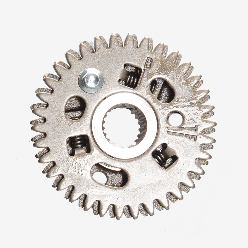 Starter Clutch (Main Gear)