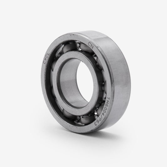 Crankshaft Bearing 6004