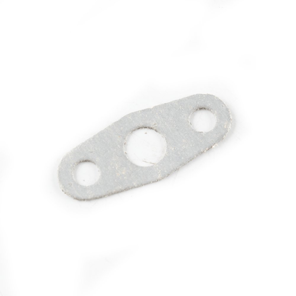 Emission Valve Gasket