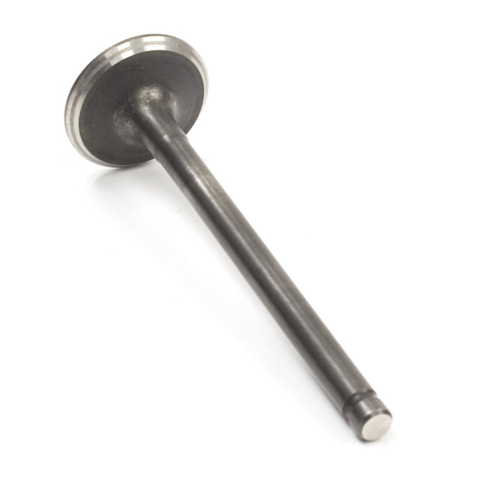 Exhaust Valve
