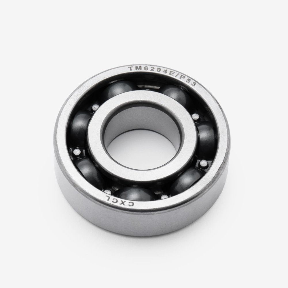 Input  Shaft Bearings 6204