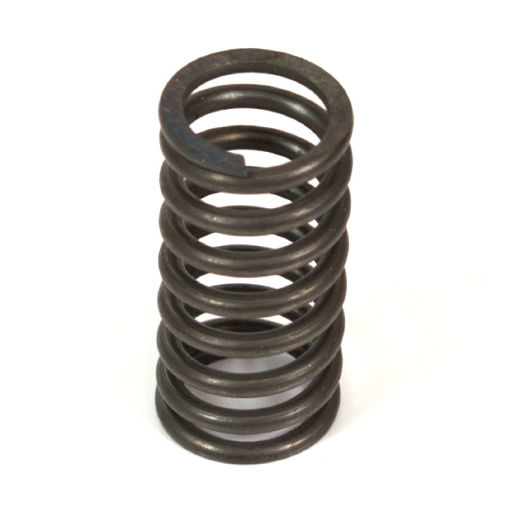 Valve Spring