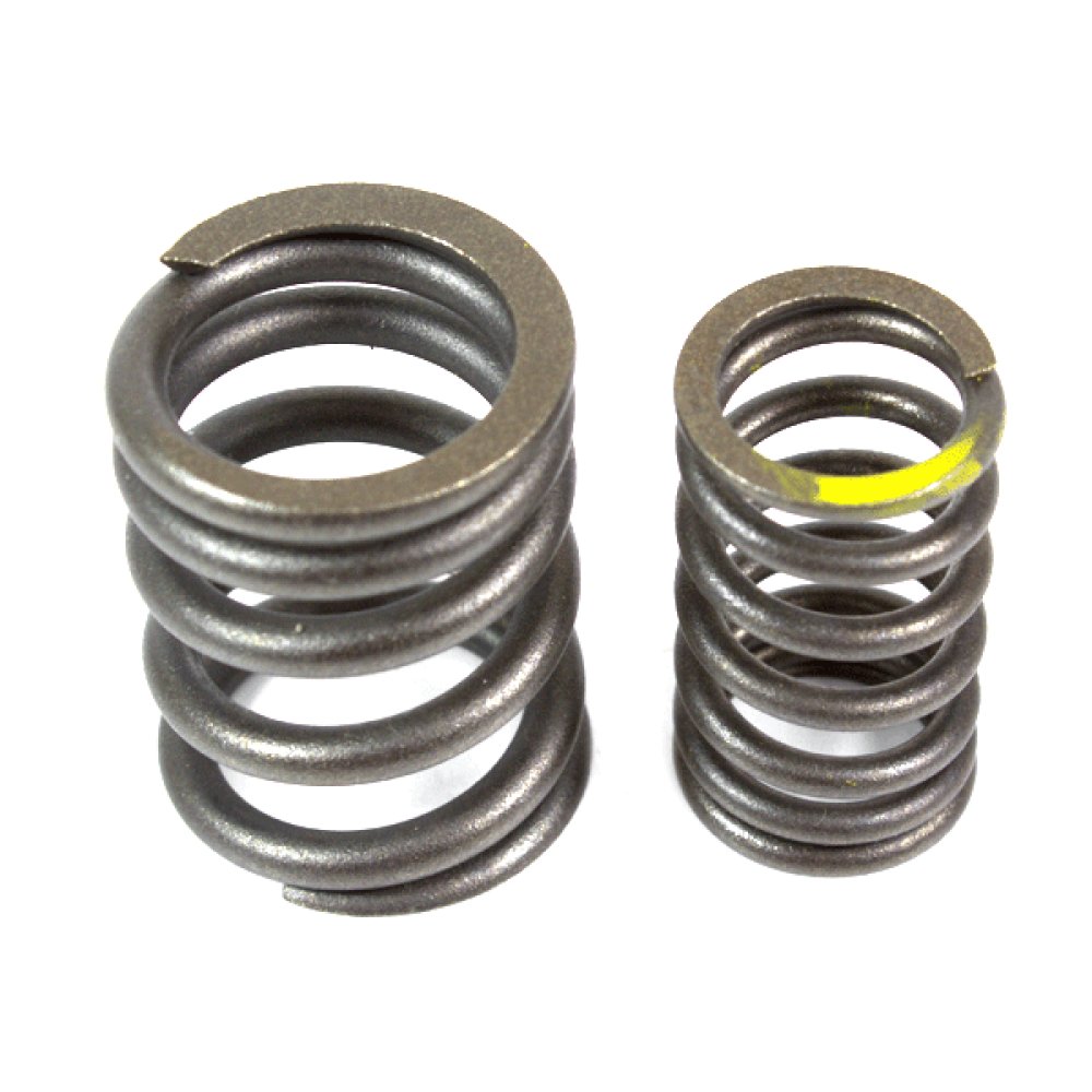 Valve Spring