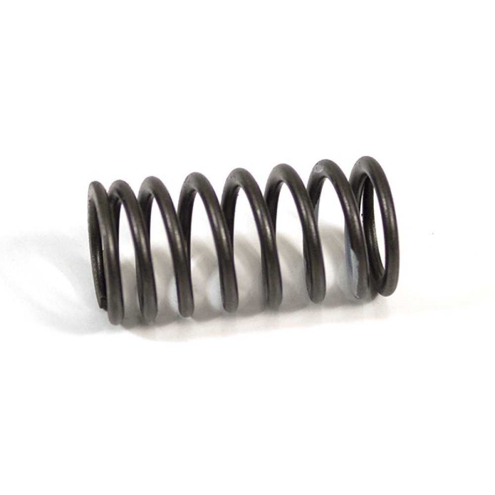 Valve Spring 2