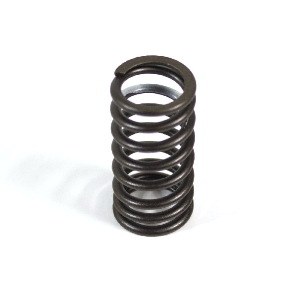Valve Spring