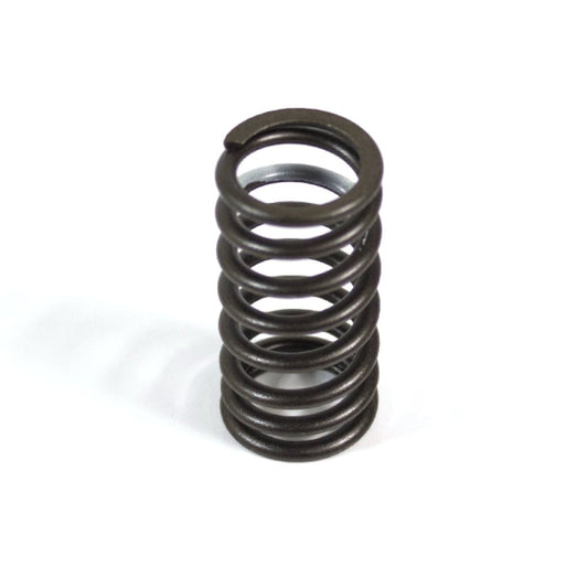Valve Spring